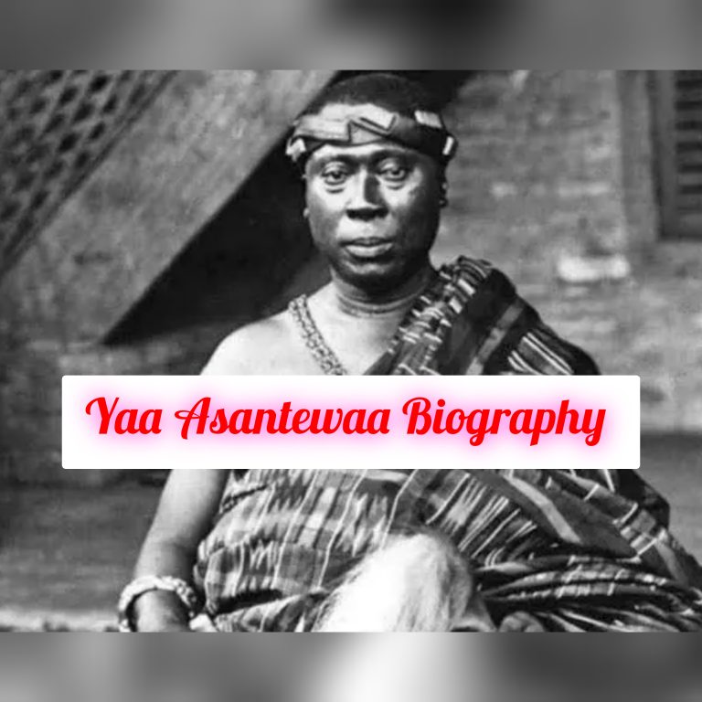 Yaa Asantewaa Biography: Age, Early Life, Career, Family, Personal Life, Education, Philosophy, Achievements, Awards, Legacy, Death, Net Worth